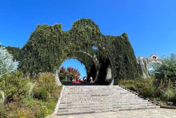叠石花谷什么时候开花 叠石花谷什么时候开花