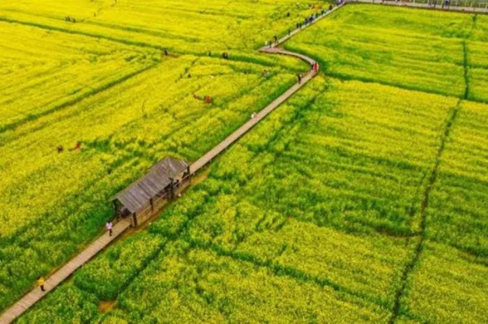 信阳春季有哪些赏花的地方推荐 信阳春季有哪些赏花的地方推荐