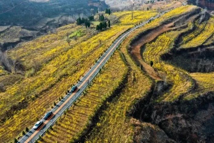 河南春季有哪些免费小众赏花地推荐 河南春季有哪些免费小众赏花地推荐