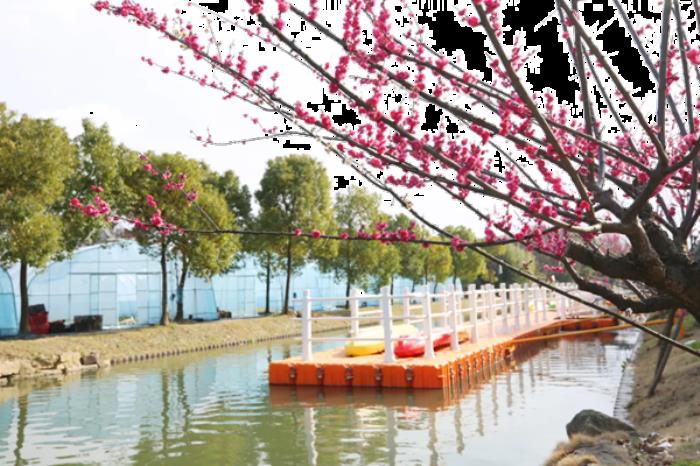 上海宝山月浦镇有哪些好玩的地方推荐