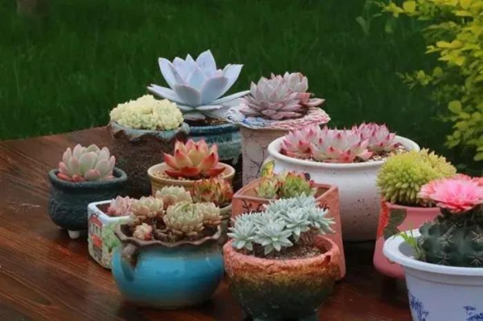 上海宝山月浦镇有哪些好玩的地方推荐