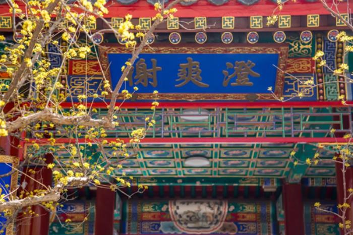 北京市属公园春季都有哪些花看 北京市属公园春季都有哪些花看