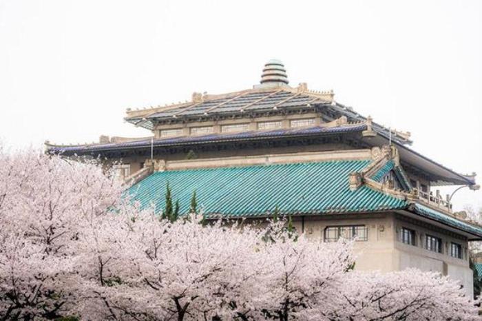 武汉大学樱花从哪个门进 武汉大学樱花从哪个门进