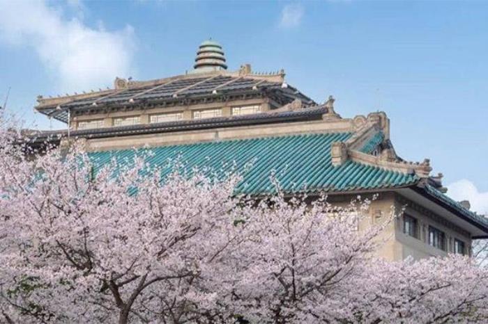 武汉大学樱花从哪个门进 武汉大学樱花从哪个门进