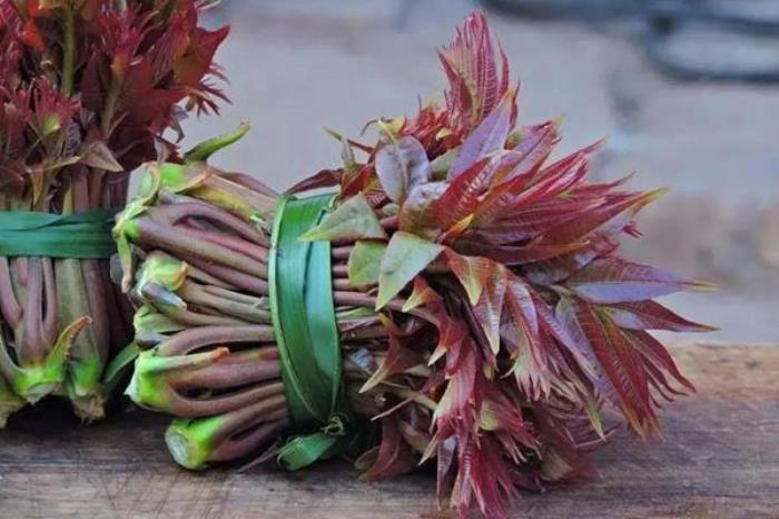 蚌埠春季有哪些特有的野菜吃 蚌埠春季有哪些特有的野菜吃