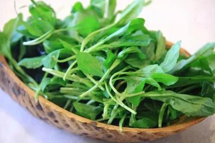 蚌埠春季有哪些特有的野菜吃 蚌埠春季有哪些特有的野菜吃