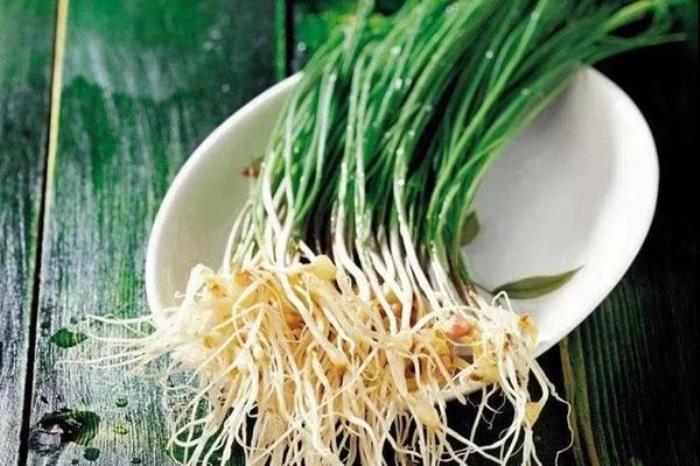 蚌埠春季有哪些特有的野菜吃 蚌埠春季有哪些特有的野菜吃