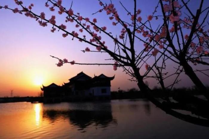 伊芦山梅园景区有哪些景点 伊芦山梅园景区有哪些景点