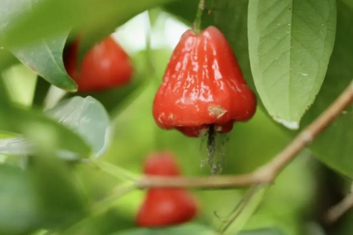 陕西西咸新区有哪些适合春游的小众打卡地推荐 陕西西咸新区有哪些适合春游的小众打卡地推荐