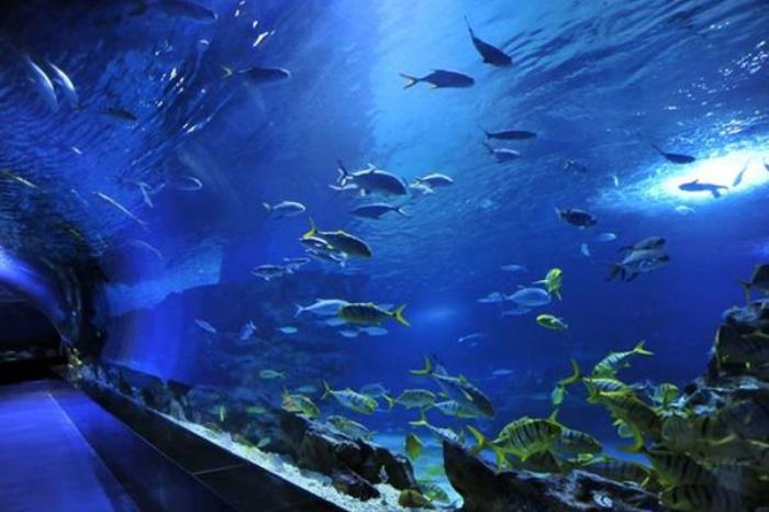 天津文化中心海底世界在哪 天津文化中心海底世界在哪