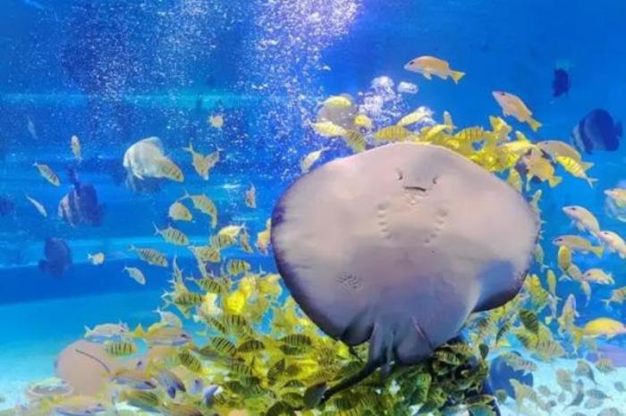 天津文化中心海底世界在哪 天津文化中心海底世界在哪