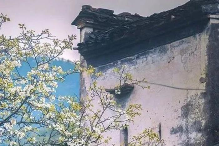江淮地区有哪些看梨花的地方 江淮地区有哪些看梨花的地方