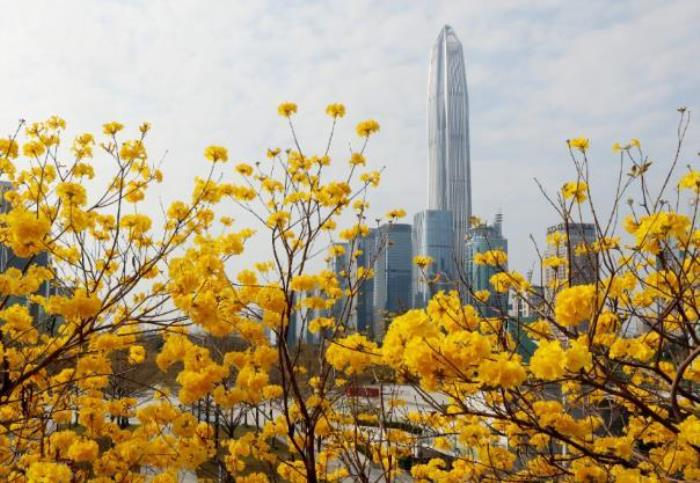 深圳赏花的地方有哪些 深圳赏花的地方有哪些