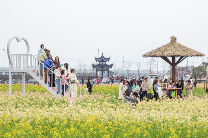 浙江有哪些看油菜花的地方 浙江有哪些看油菜花的地方