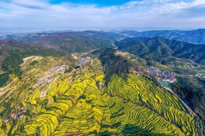 浙江有哪些看油菜花的地方 浙江有哪些看油菜花的地方