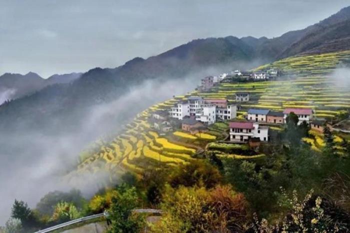 浙江有哪些看油菜花的地方 浙江有哪些看油菜花的地方