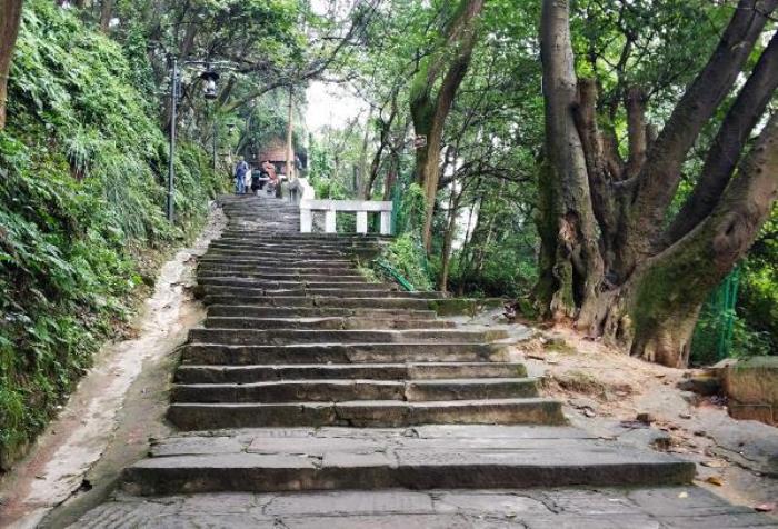重庆的特色步道有哪些地方 重庆的特色步道有哪些地方