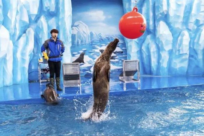 天津文化中心海底世界和极地海洋馆哪个好 天津文化中心海底世界和极地海洋馆哪个好