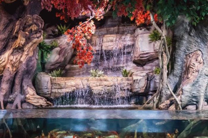 天津文化中心海底世界和极地海洋馆哪个好 天津文化中心海底世界和极地海洋馆哪个好