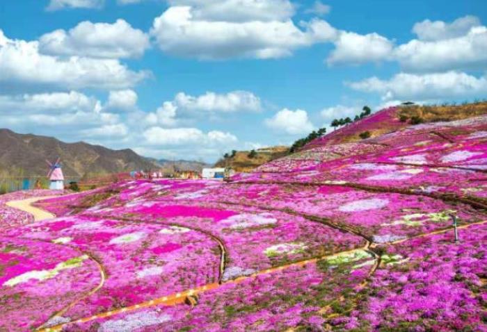 迁西雨花谷景区门票多少钱 迁西雨花谷景区门票多少钱