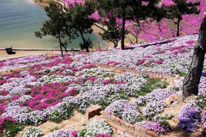 迁西雨花谷景区门票多少钱 迁西雨花谷景区门票多少钱