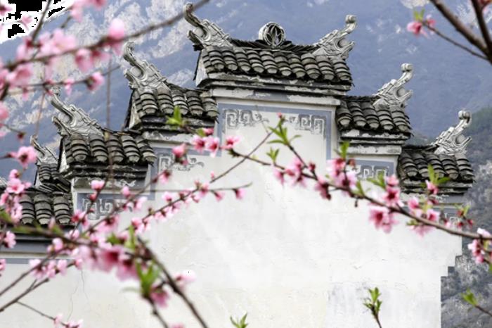 宜昌春季有哪些好玩的乡村景点推荐