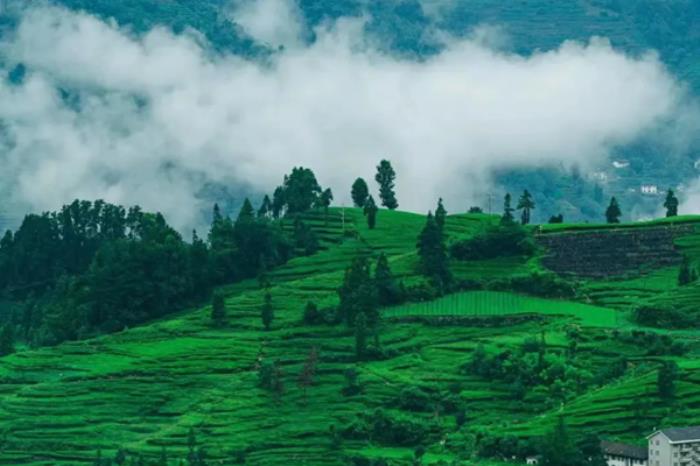 宜昌春季有哪些好玩的乡村景点推荐