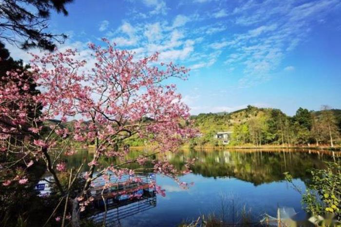 揭阳大洋景区有哪些景点 揭阳大洋景区有哪些景点