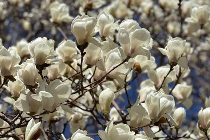 天津郊游去哪里好玩