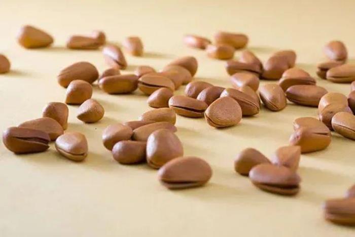 伊春有哪些好吃的森林美味 伊春有哪些好吃的森林美味