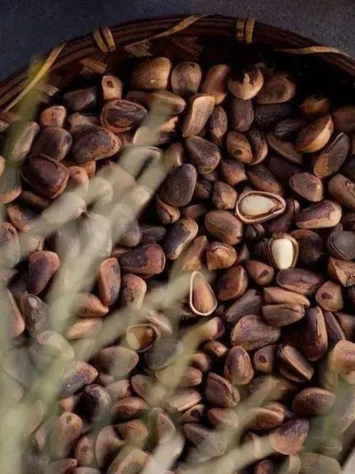 伊春有哪些好吃的森林美味 伊春有哪些好吃的森林美味