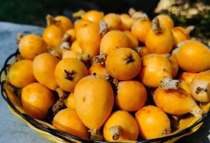 广州畲族村有什么好玩的地方 广州畲族村有什么好玩的地方