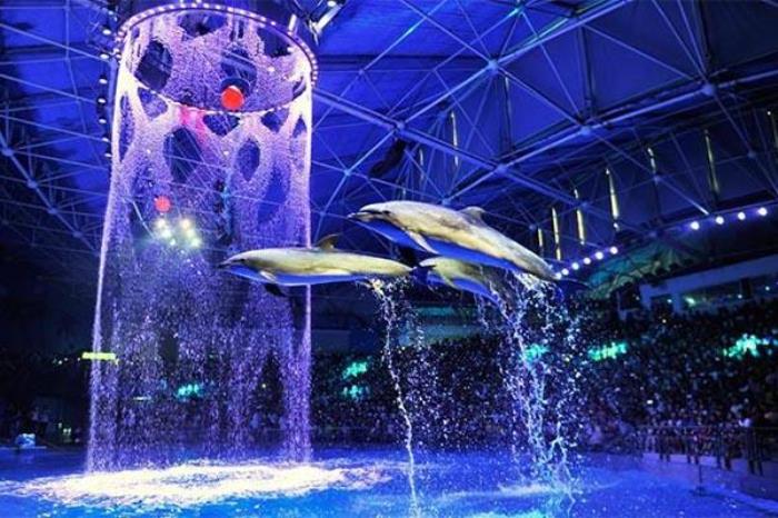 大连老虎滩海洋公园能带吃的吗 大连老虎滩海洋公园能带吃的吗