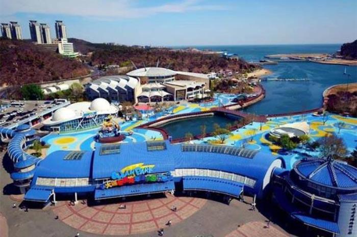 大连老虎滩海洋公园能带吃的吗 大连老虎滩海洋公园能带吃的吗