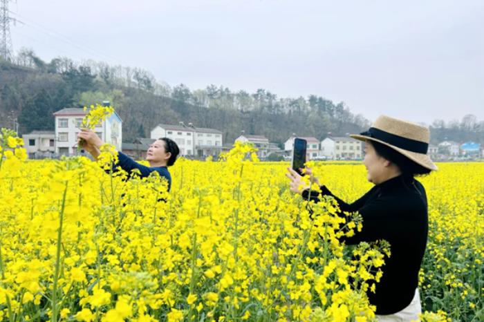 夷陵春季有哪些精品乡村旅游线路推荐