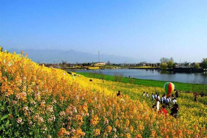 陕西汉中油菜花在哪里?