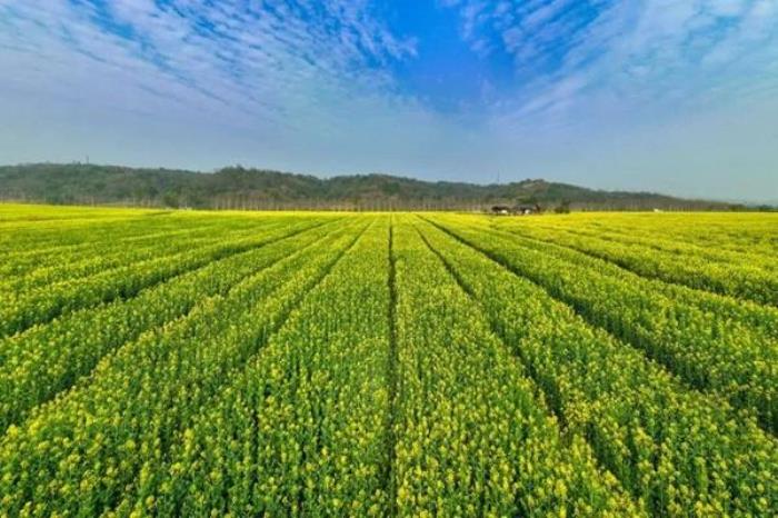 广阳岛好玩吗？有什么好玩的？