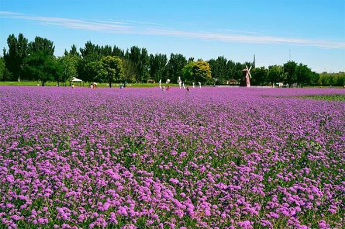北京紫谷伊甸园几月去好看