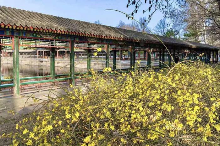 北京市属公园春季都有哪些花看