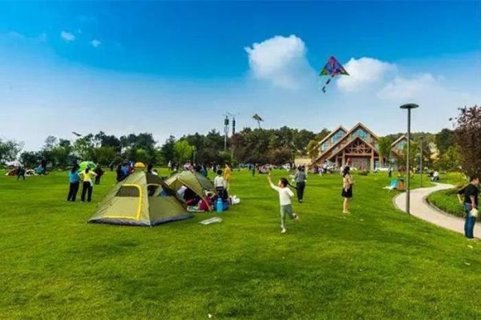 重庆哪里放风筝比较好玩