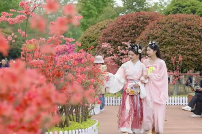 宜昌有哪些公园适合周末去游玩