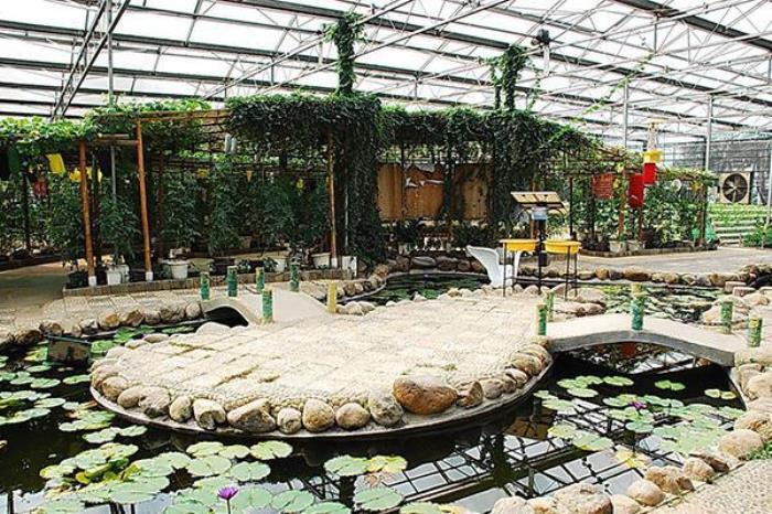 广西八桂田园 广西八桂田园