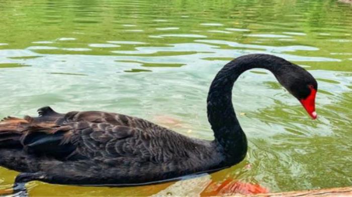 万安山七彩大峡谷