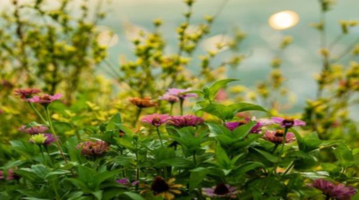 万安山七彩大峡谷