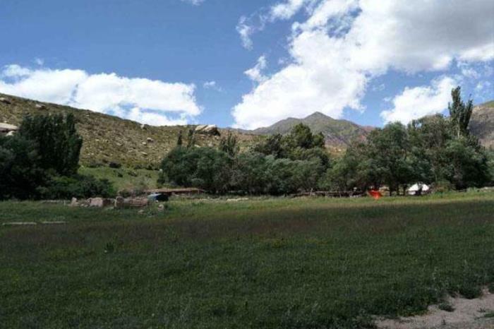 帕克勒克草原 帕克勒克草原