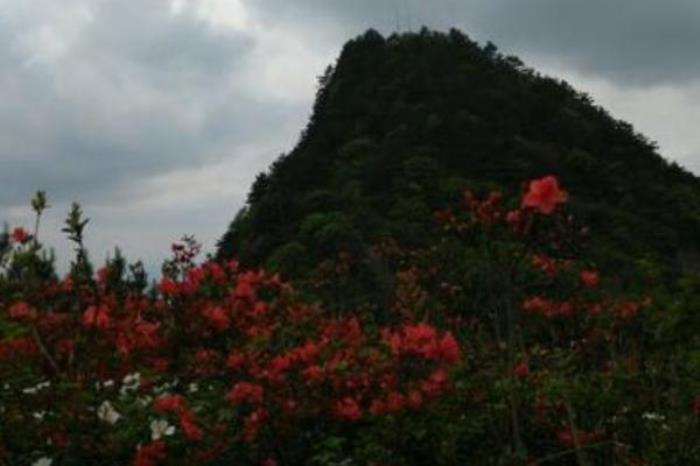 大仙峰自然保护区