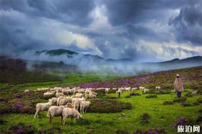 乐山雷畅故居 乐山雷畅故居