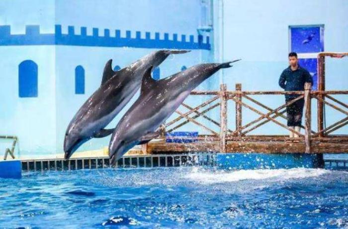洛阳中赫海豚湾海洋公园 洛阳中赫海豚湾海洋公园