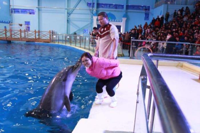 洛阳中赫海豚湾海洋公园 洛阳中赫海豚湾海洋公园