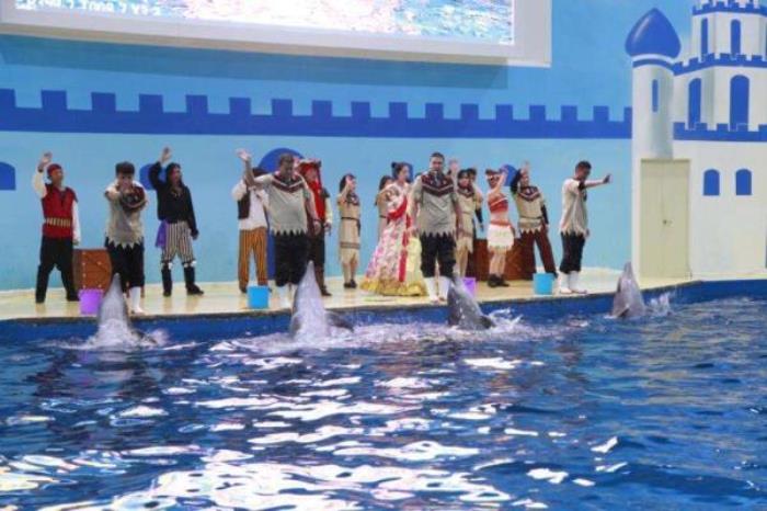 洛阳中赫海豚湾海洋公园 洛阳中赫海豚湾海洋公园